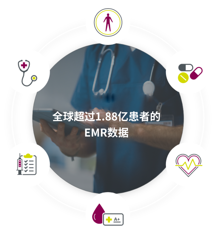 细胞3.png